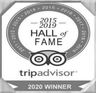 Bay Area Sightseeing Tours ReviewsSF