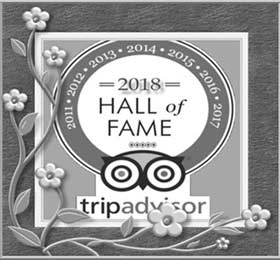 Testimonios de Clientes  Testimonios de Alcatraz y Tours de la Ciudad hall of fame trip advisor