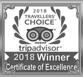 고객 추천 후기 '알카트라즈 & 샌프란시스코 투어의 솔직 후기'