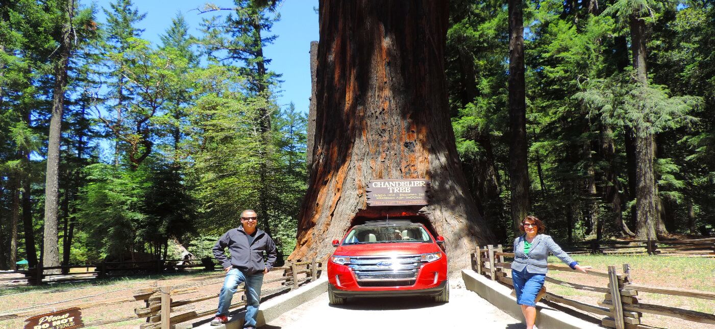 Avenue-of-the-Giants-Humboldt-County