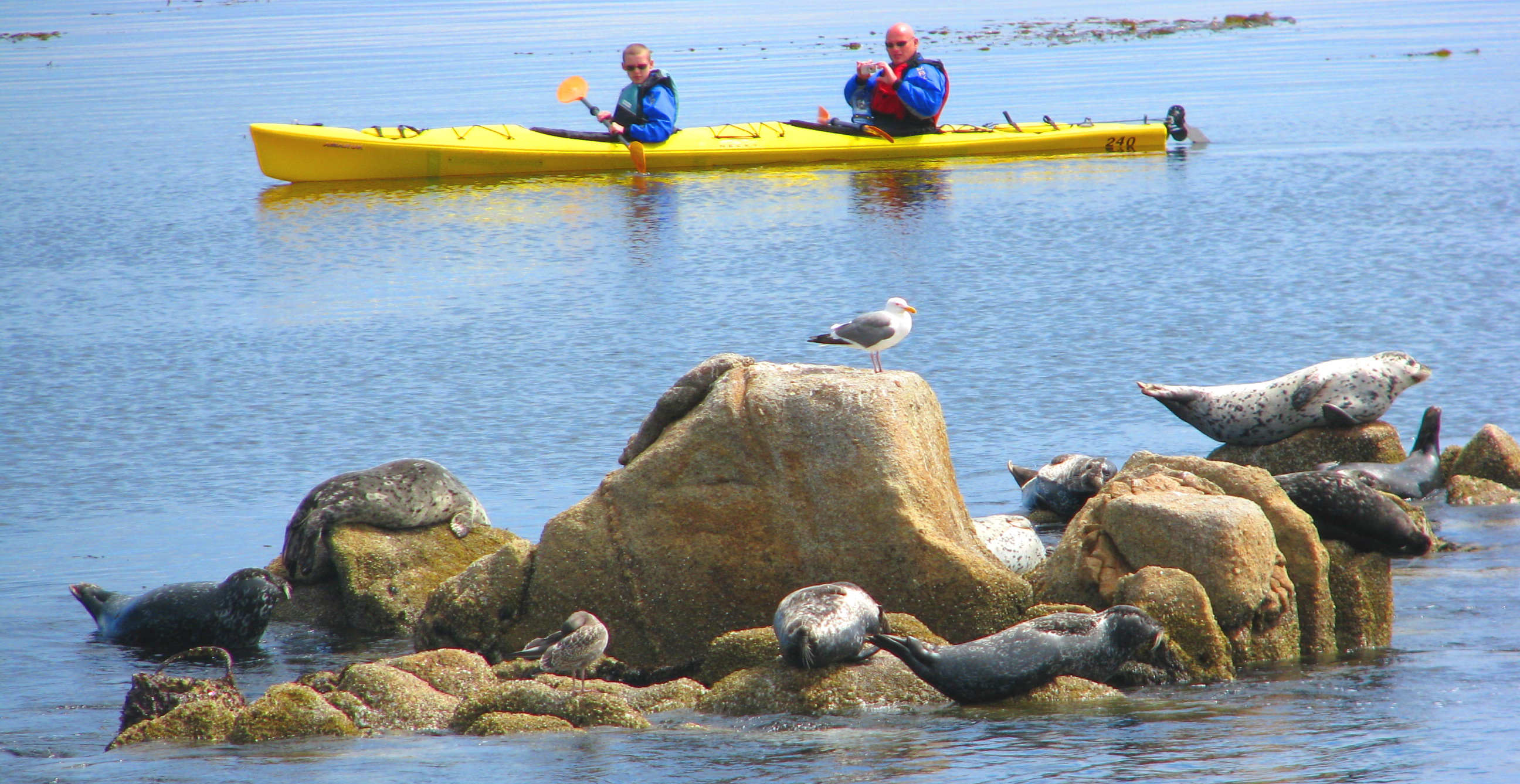 Big-Sur-Outdoor-Activities-Monterey-Things-to-Do-TripAdvisor