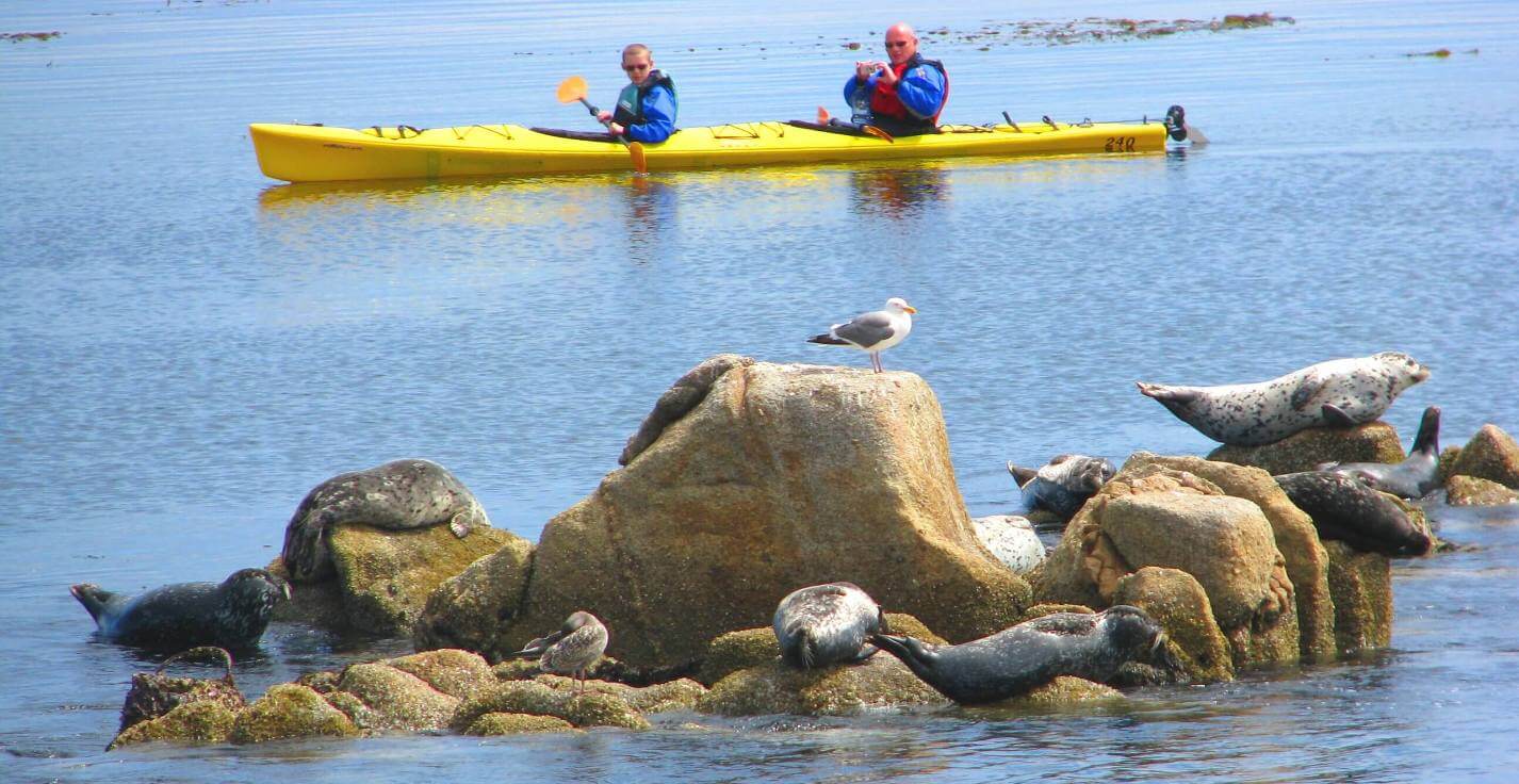 Big-Sur-Outdoor-Activities-Monterey-Things-to-Do-TripAdvisor