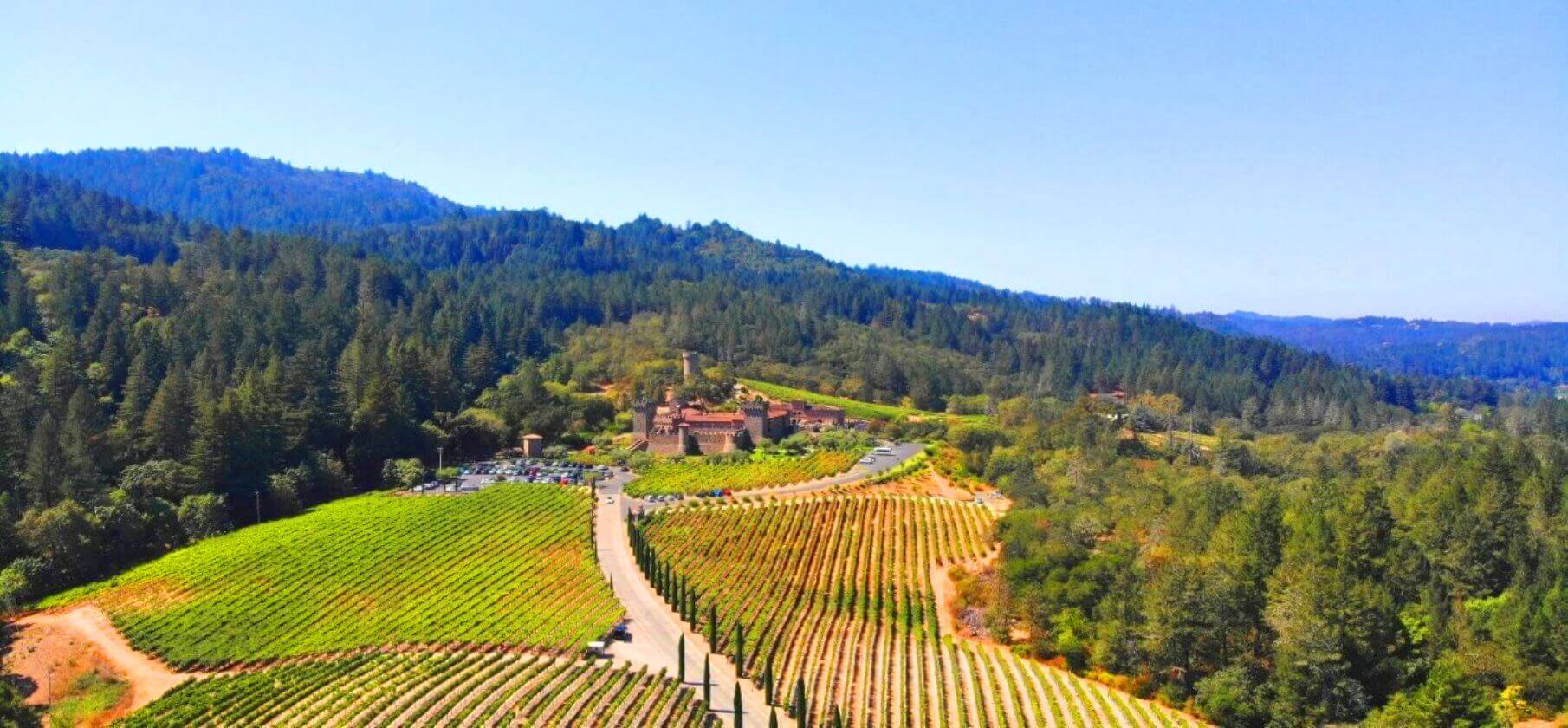 California-Wine-Country-Luxury-Private-Tours California-Wine-Country-Luxury-Private-Tours