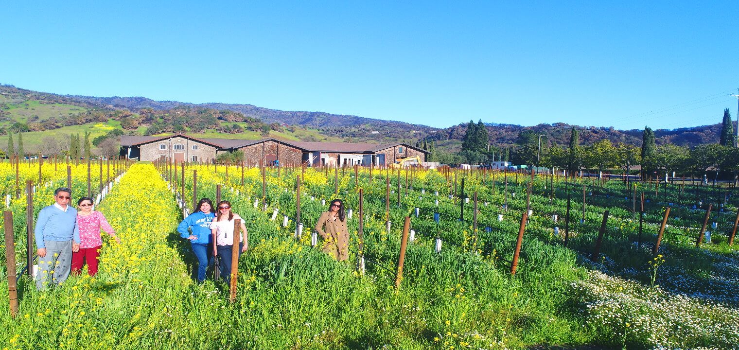Excursion-regiones-vinícolas