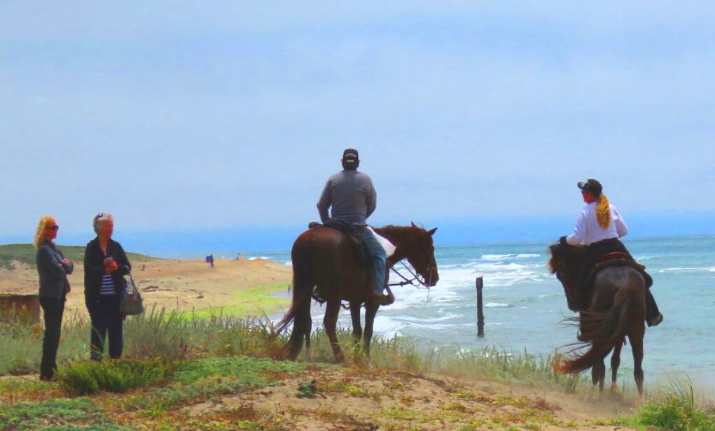Horseback-Ride-on-TheBeach-day-tours.jpg