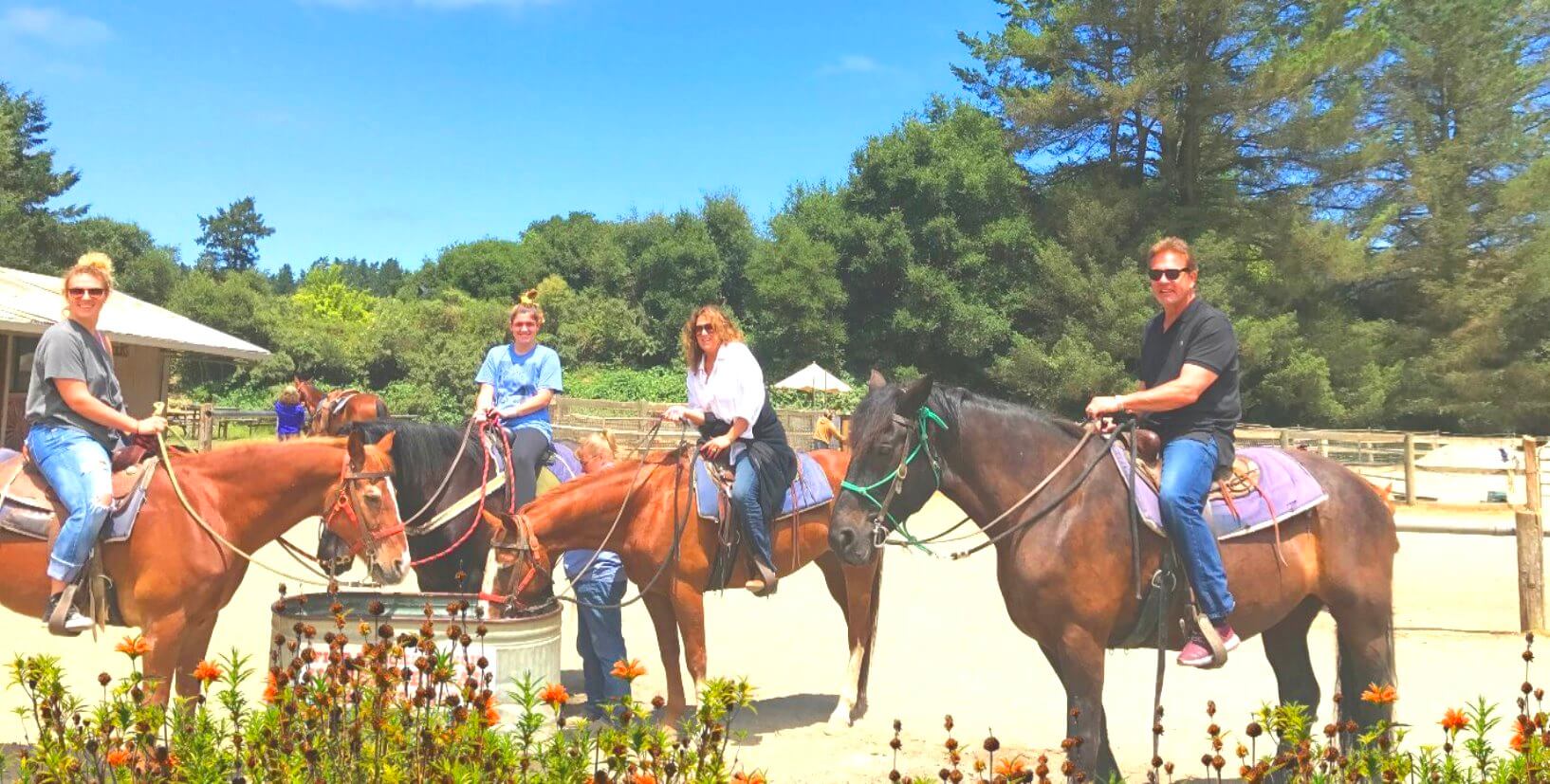 Horseback-Rides-on-the-Beach-SanFrancisco-Occean-beach-muirwoodsf