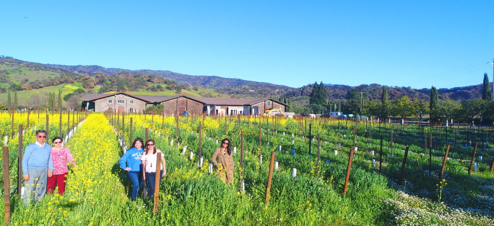 Mendo-Wine-Tours-Taste-Tour-the-Mendocino-Anderson