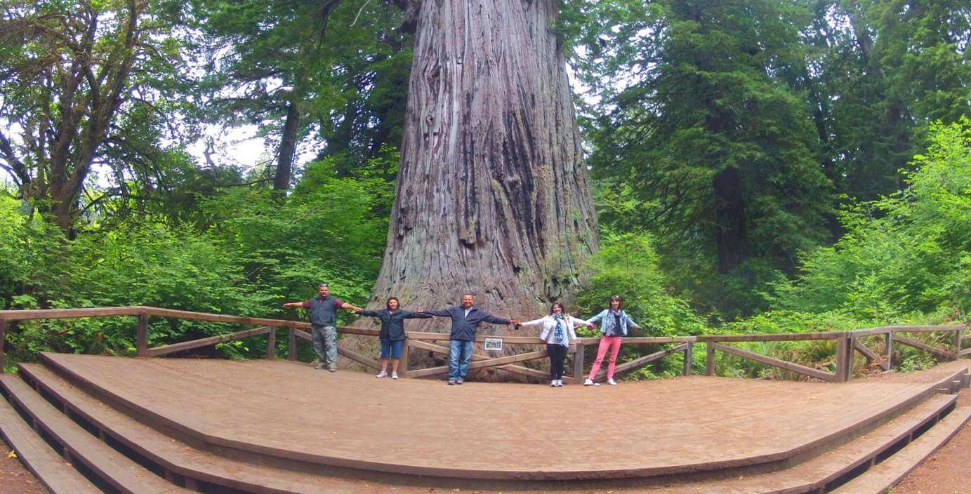 Redwood-National-Park-Travel-Guide