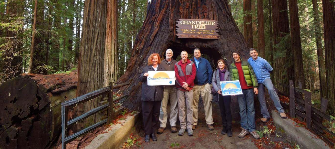 Redwood-National-Parks-Tours
