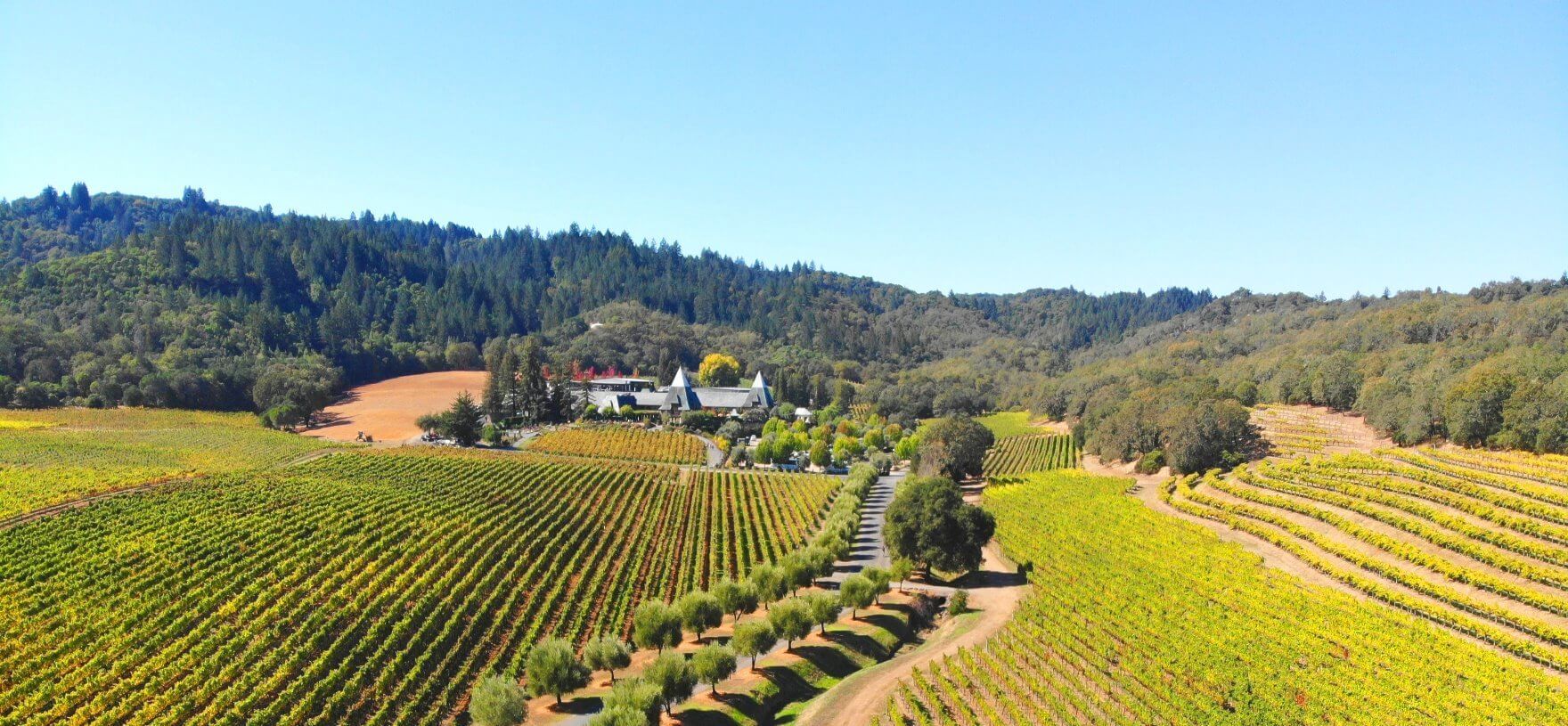 Russian-River-Valley-Dry-Creek-Wine-Trail-Tours