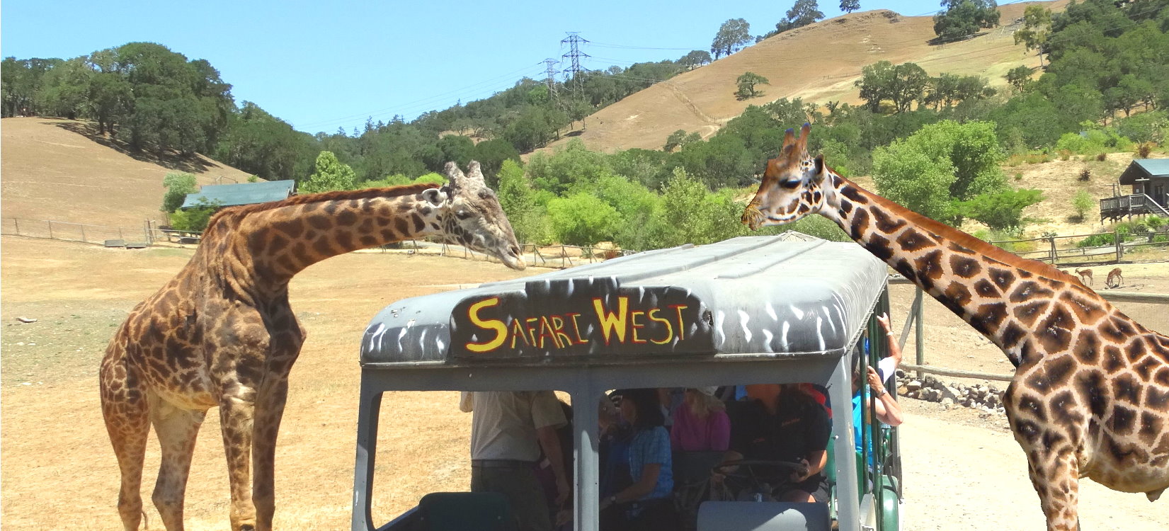 Safar-Animal-Park-Jeep-Tour-Outdoor-Adventures