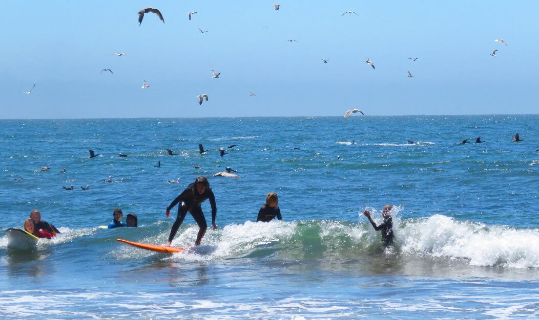 Surf-lessons-Santa-Cruz-outdoor-activities-day-trips.jpg