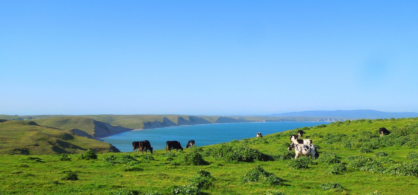 Top-Attractions-in-Point-Reyes-National-Seashore-Tomales-Bay