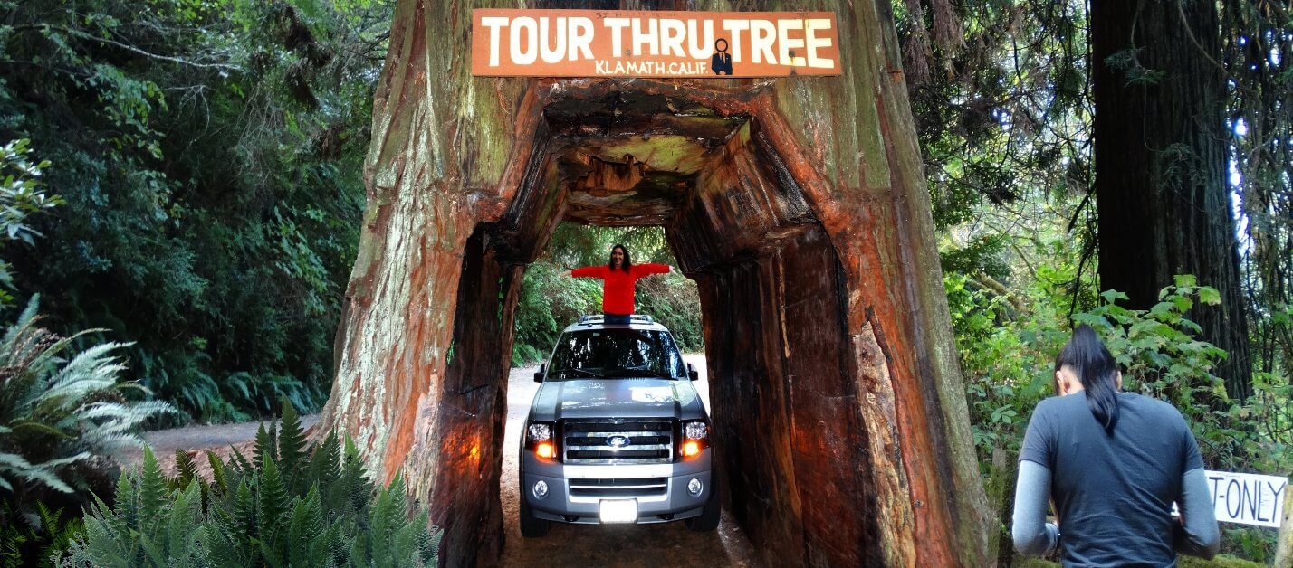 Tour-the-Avenue-of-the-Giants Tour-the-Avenue-of-the-Giants