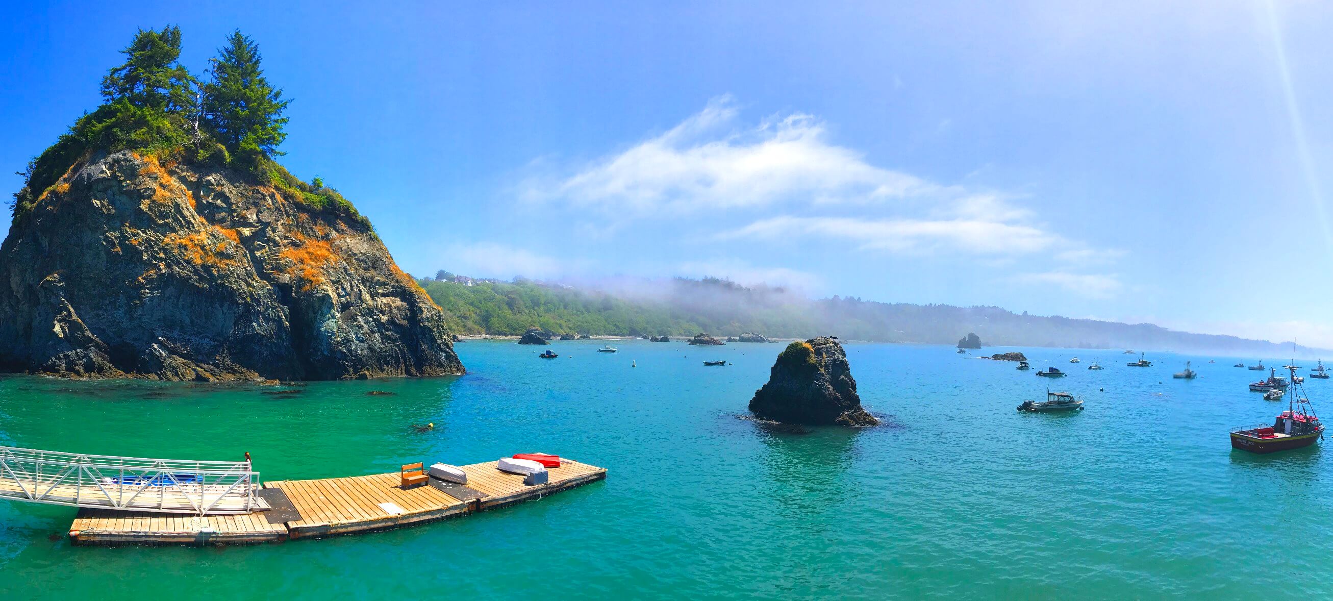 Tours-of-Redwood-National-Park