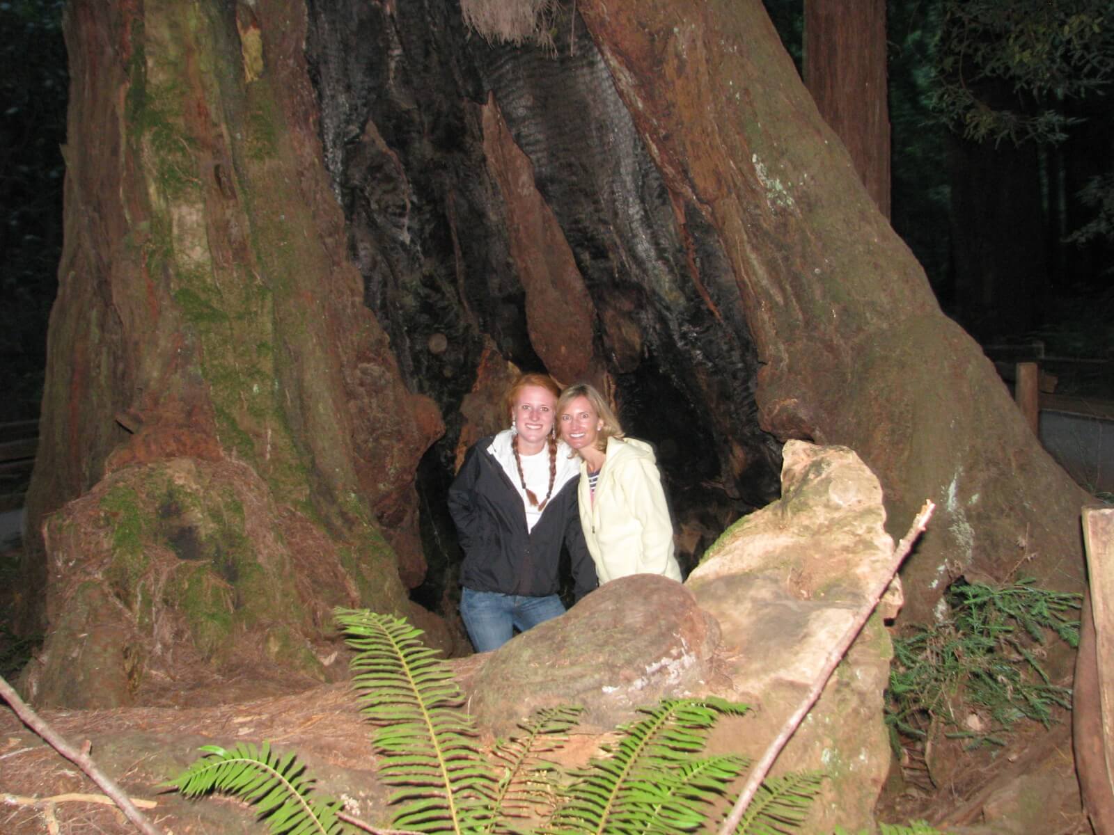 Visita-guiada-al-parque-Redwoods-muirwoods.jpg