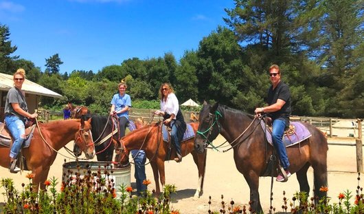 best_equestrian_tours_near_san_francisco_bay_area_tours_.jpg