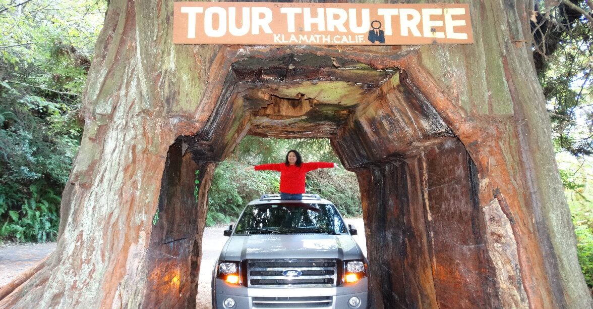 drive-through-big-redwood-tree-drive-thru-giant-sequoia.jpg