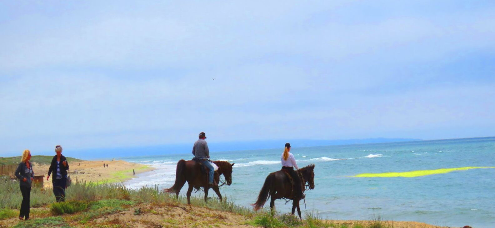 excursions-a-caballo-por-la-playa