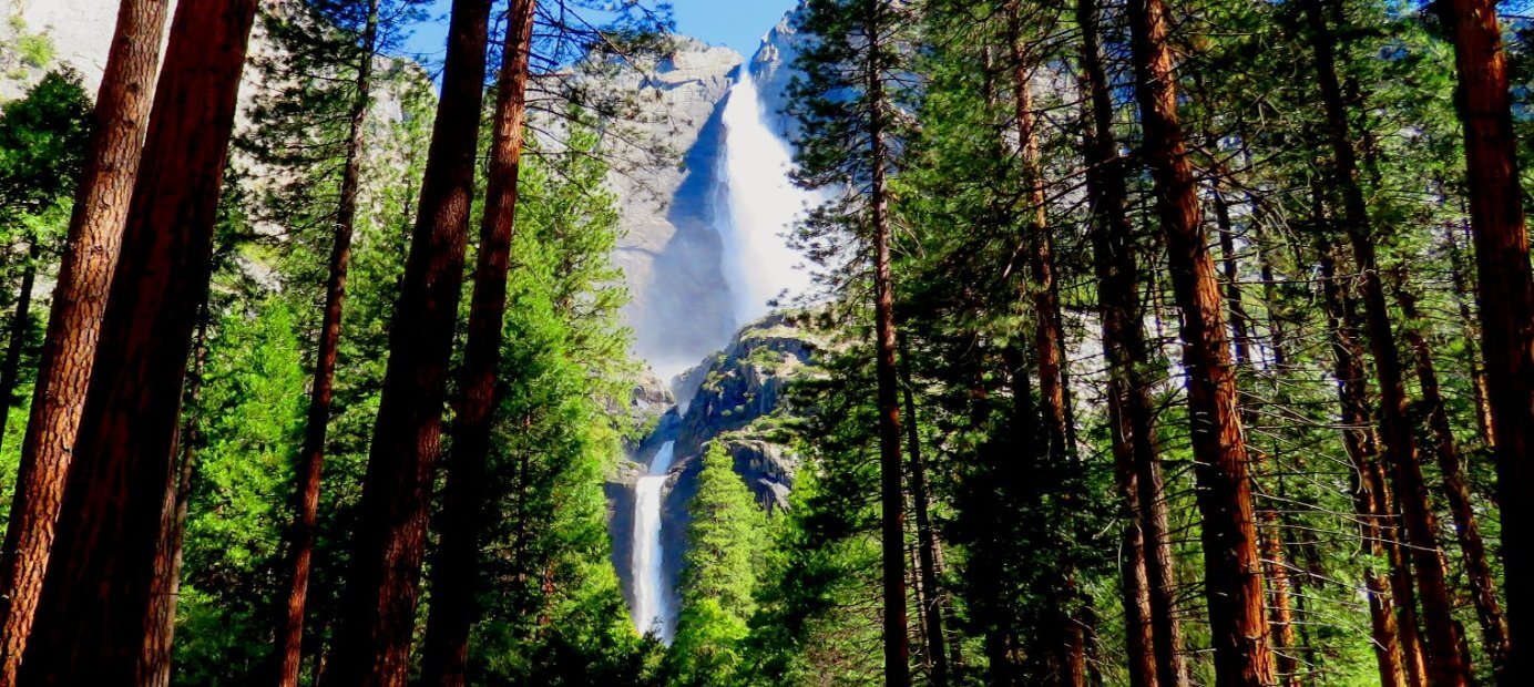 excursions__au_parc_national_de_yosemite_de_san_francisco