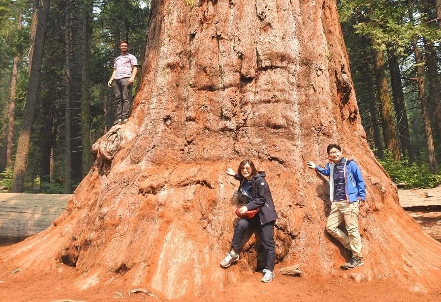 giant-sequois-park-hike-travel-guide-sierra-min.jpg