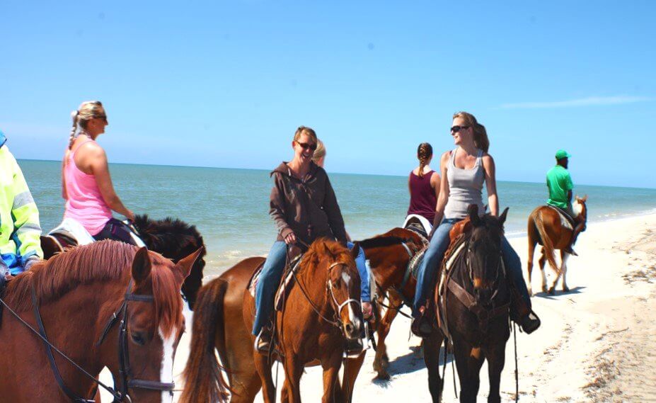horseback-rides-by-the-beach-san-francisco.jpg