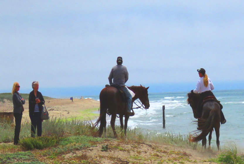 horseback_ride_on_the_beach_nearby_san_francisco_bay_area_and_monterey.jpg