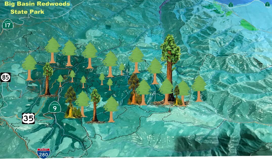map-of-Big-Basin-Redwoods-map.jpg