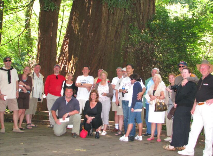 muir-woods-small-group-tours.jpg