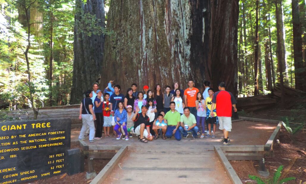 must-see-places-in-northern-california-oregon-tours-ave-giant-redwoods.jpeg