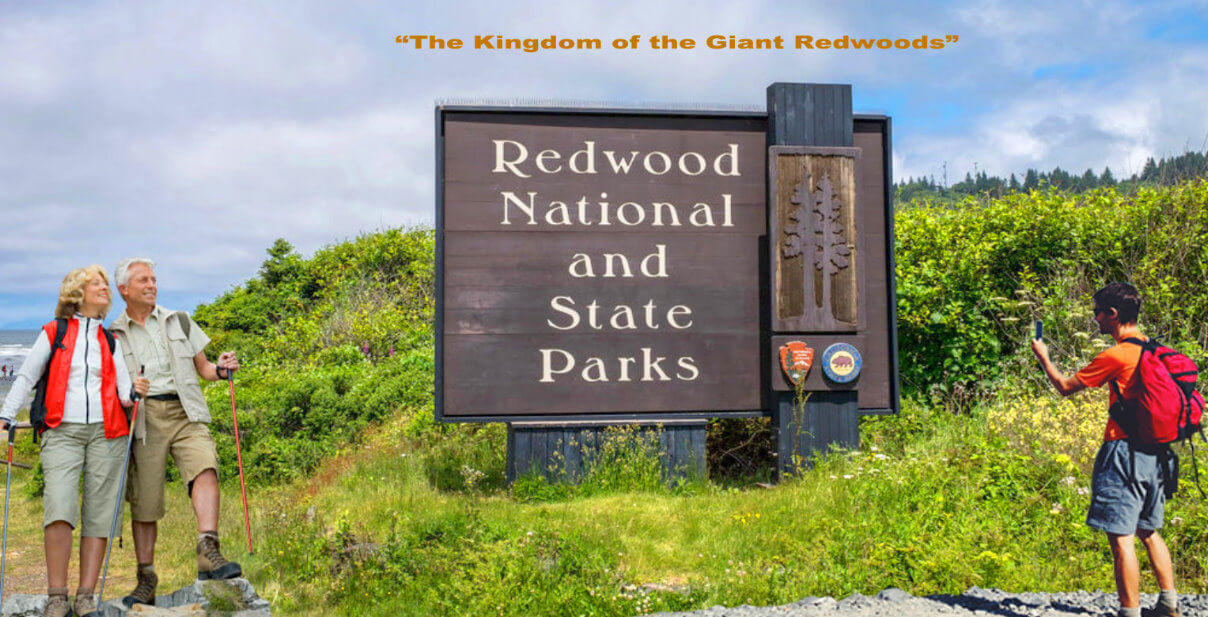 plan-your-visit-redwood-national-san-francisco-vacation-deals.jpg