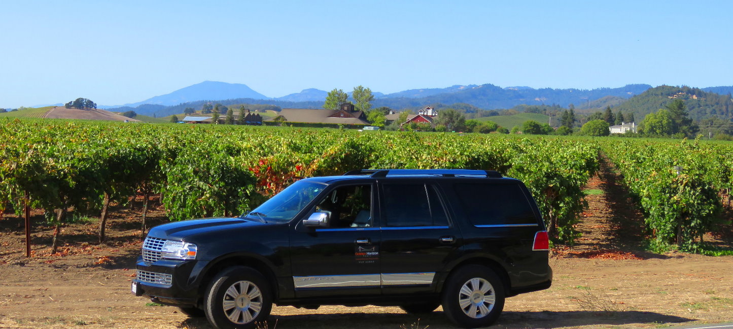 private-wine-tours-mendo-wine-country