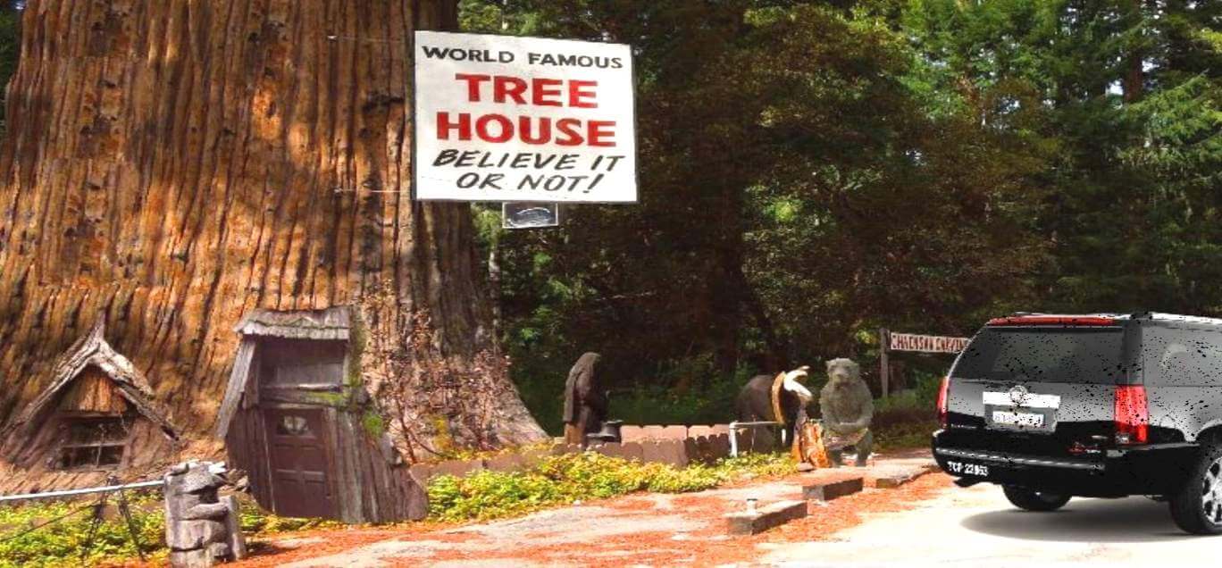 ripley-believe-it-or-not-world-famous-tree-house-giant-redwoods