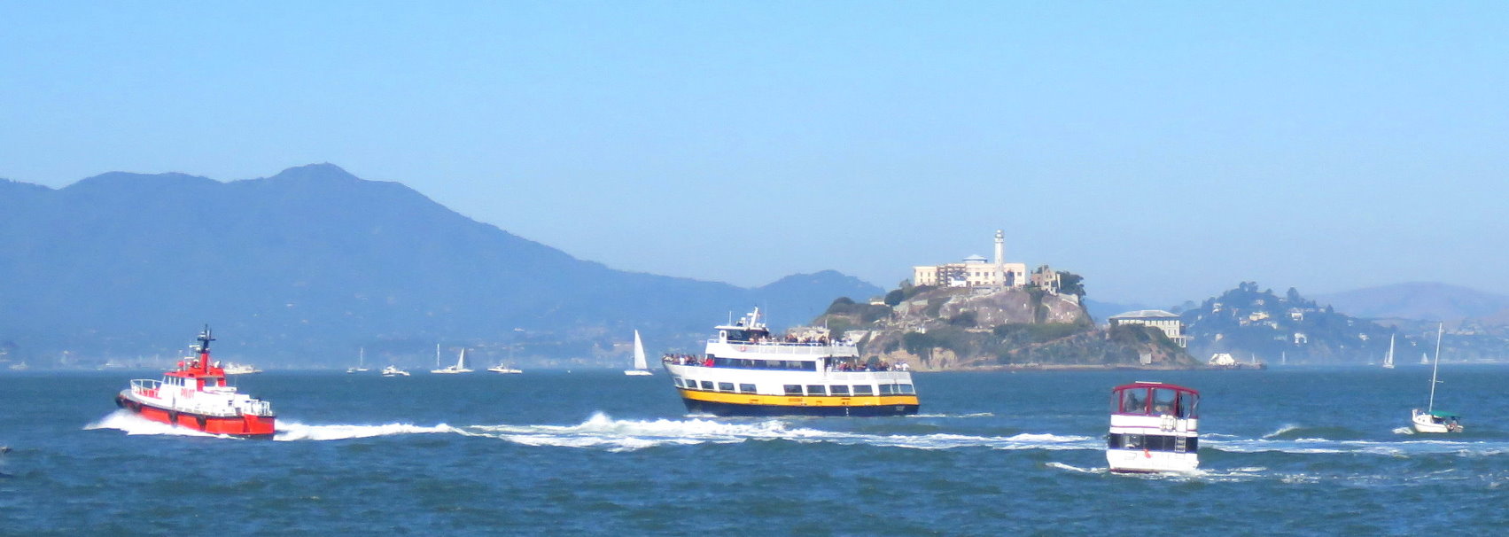 sf_city_guided_tour_and_bay_cruise_ferry_trip_in_the_san_francisco_bay.jpg