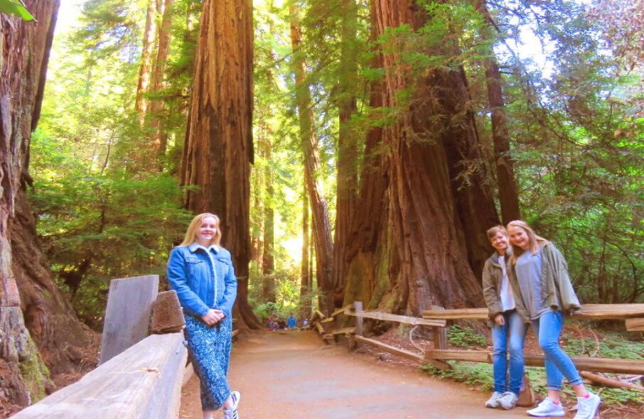 tour-a-Muir-Woods-desde-sanfrancisco.jpg