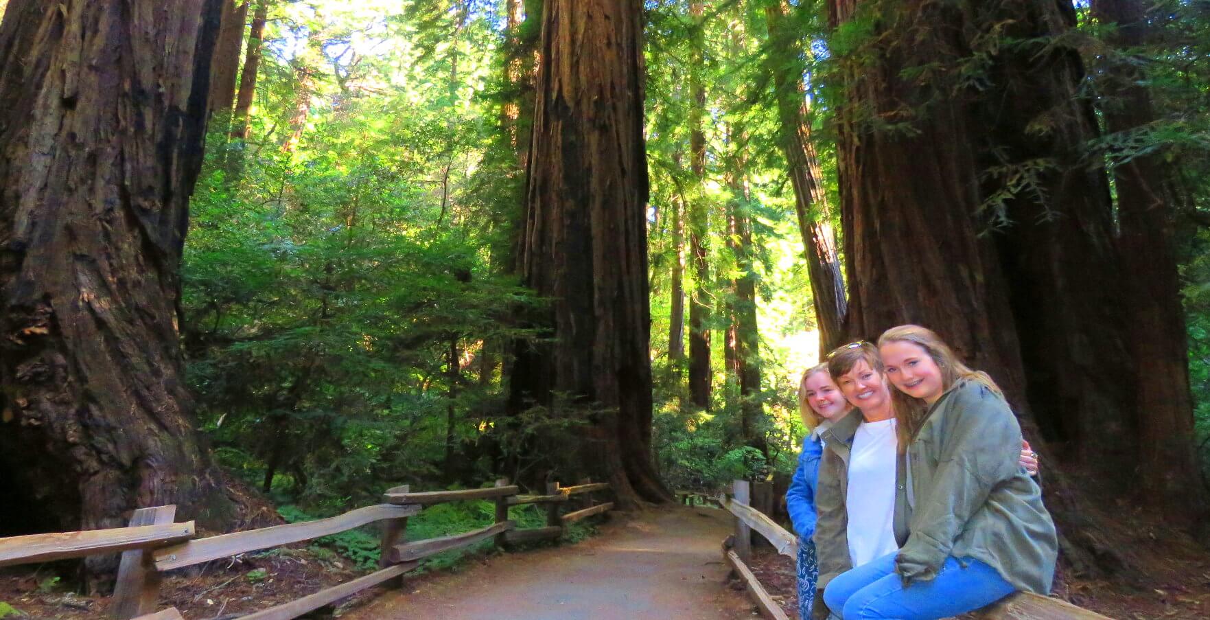 tour-de-muirwoods