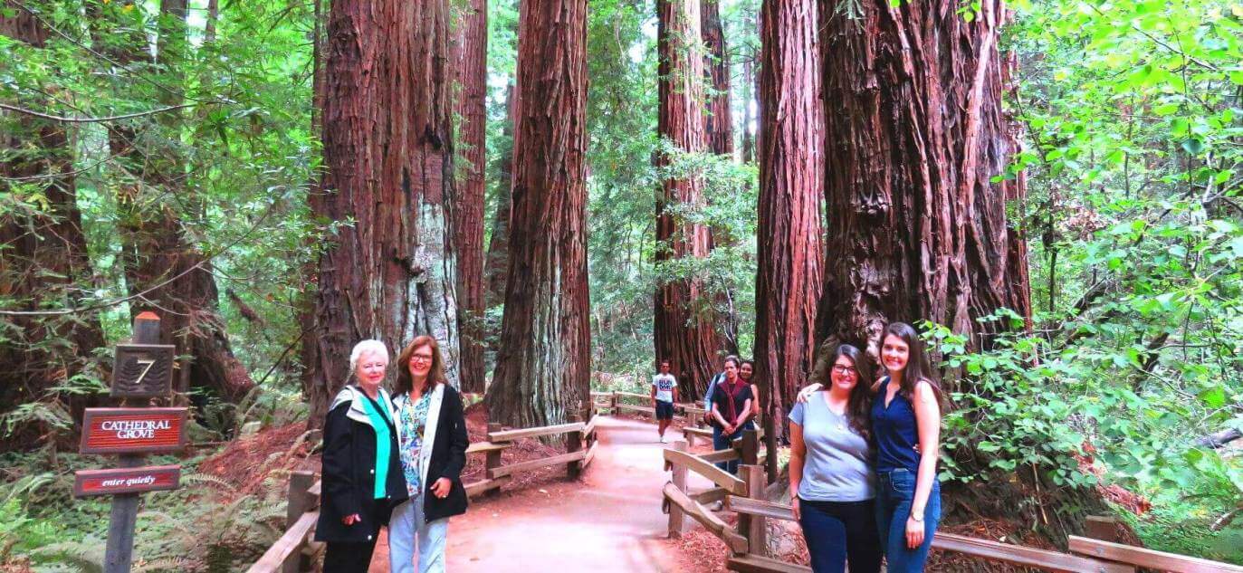 visit-muir-woods-national-monument-u-s-national-park-service
