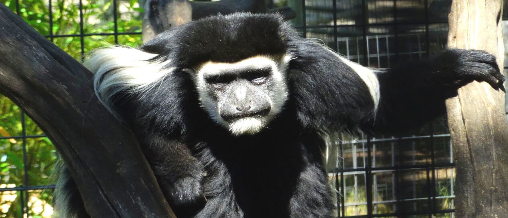 visit_safari_wild_animal_park_kids_friendly_adventures