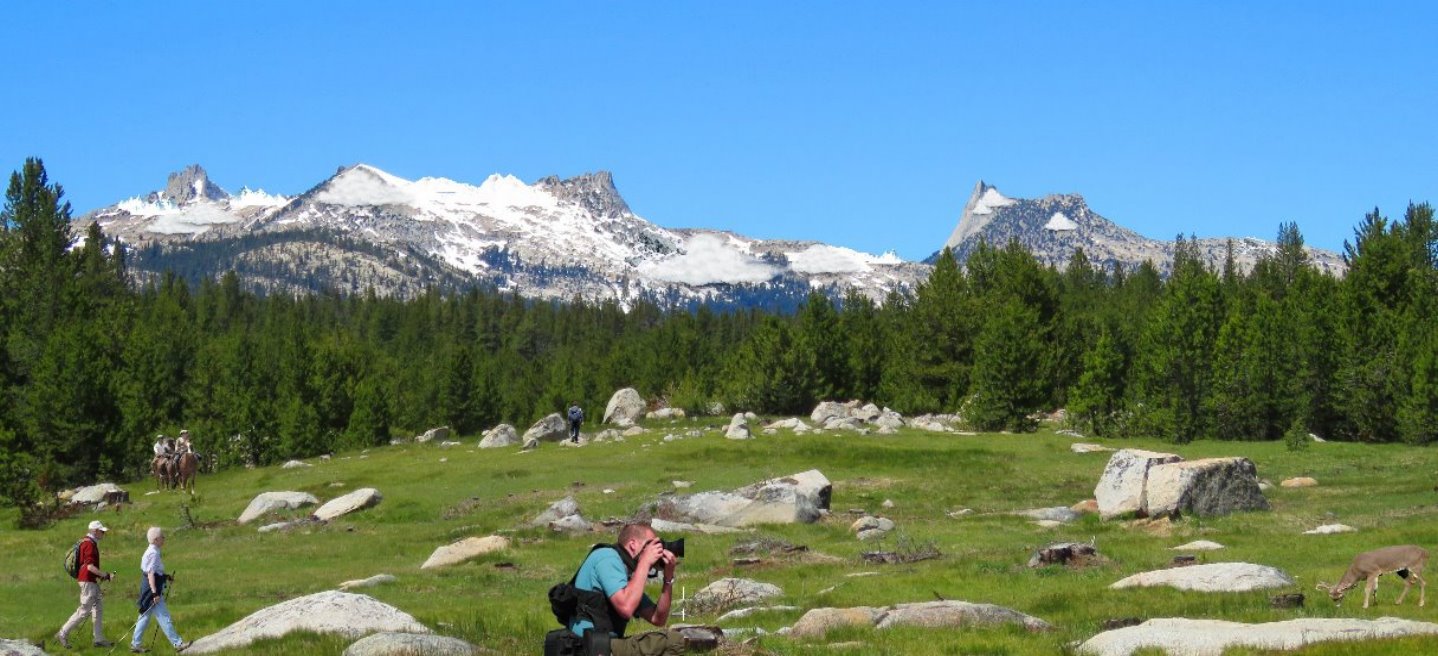 yosemite_high_couyntry_sierra_tours
