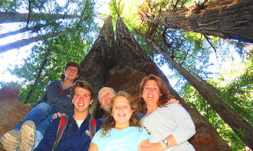 MUIR_WOODS_TOUR_REDWOODS_SAUSALITO