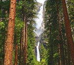 Must_do_in_Yosemite_National_Park