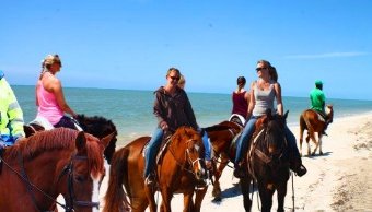 Paseo-a-caballo-por-la-playa-cerca-del-área-de-la-bahia-de-SanFrancisco-y-Monterrey.jpg