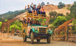 Safari-Park-Jeep-Tour-Wine-outdoor-adventures.jpg