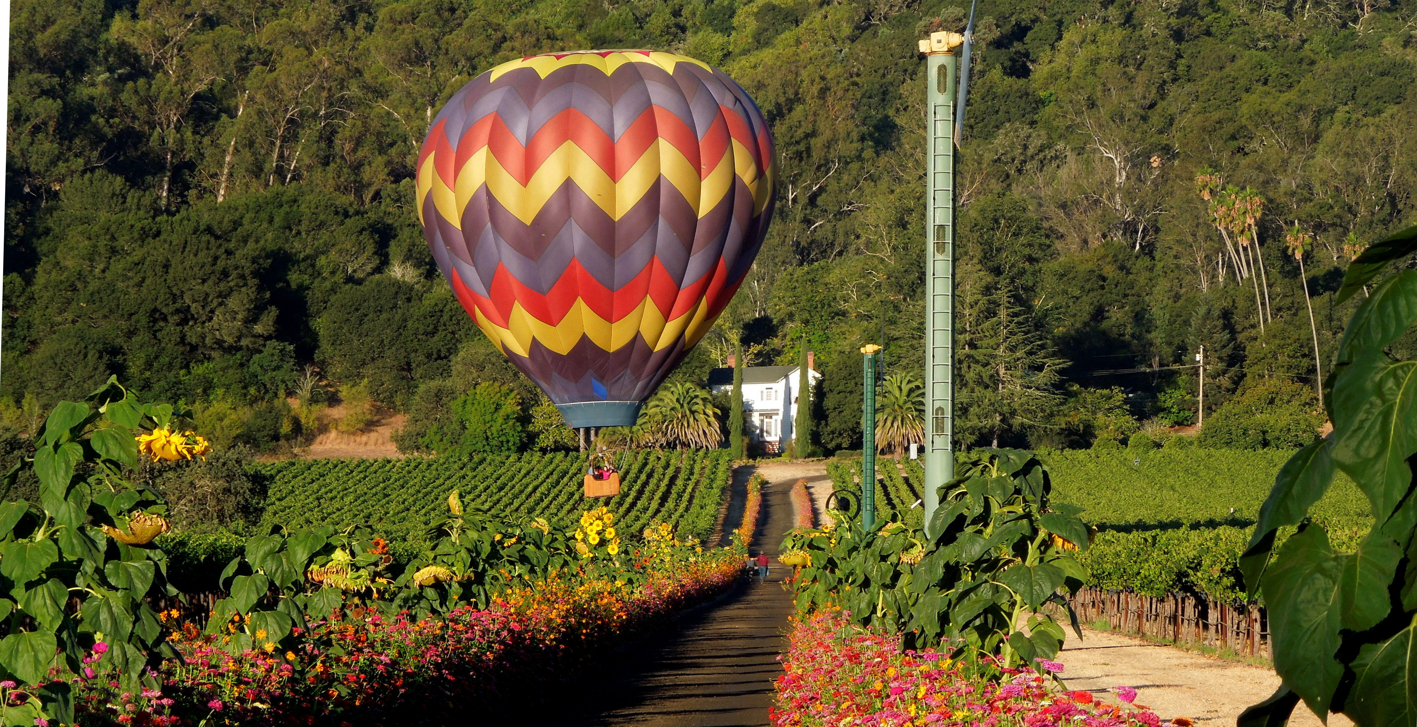 _muirwoods_napa-balloon-ride-small.jpg