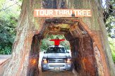 Visit-Redwood-National-Park.jpg
