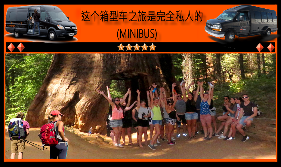 Chinese-Yosemite-Guided-Tours-Sequoias-Park