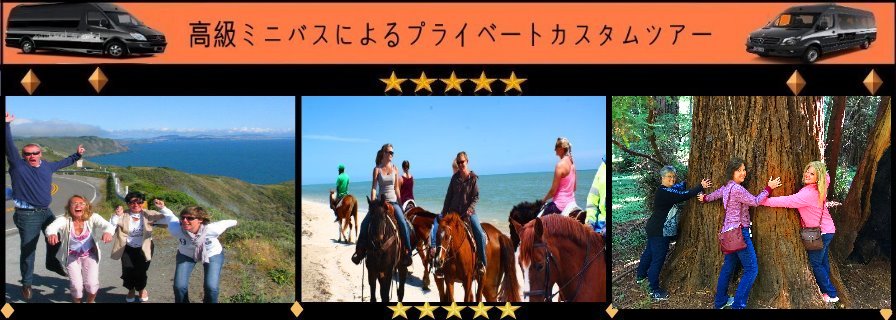 JP-horseback-redwoods-VAN