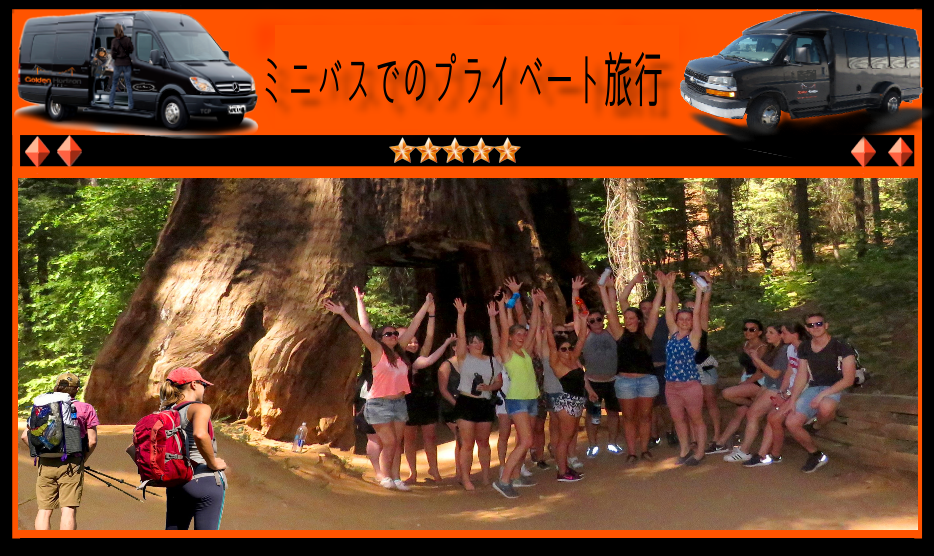 Japanese-travel-guide-of-sequoias-national-park