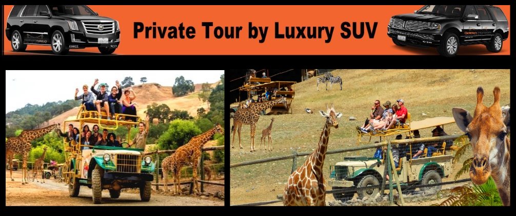 Napa-valley-wine-tours-sonoma-ride-suv