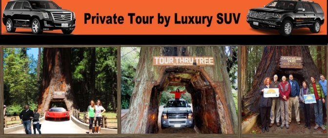 Private-tour-by-suv-custom-tour